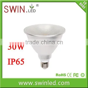 Led Par Light Par38 Ip65 30w High Lumens COB thumbnail-1