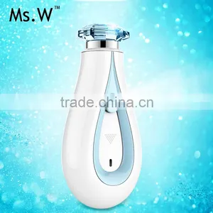 Home Use Portable Nano Facial Handy Mist Sprayer ST-F806 thumbnail-2