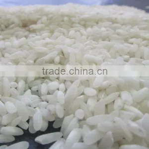 Fresh IR 8 Short Grain Rice thumbnail-4