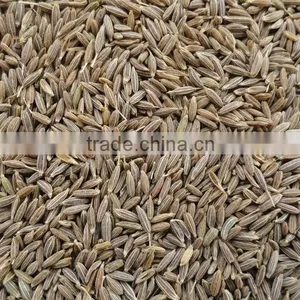 Fresh Quality Cumin thumbnail-1