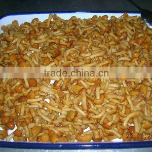 Best Canned Mushroom Wholesale thumbnail-2