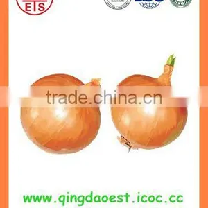 Fresh New Crop Yellow Onion PRODUCTS From China thumbnail-3