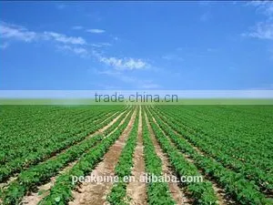 Linyi Shansong Biological Products Co., Ltd. company overview - view 2 thumbnail