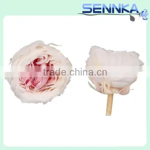 Valentine's Day Gifts Wholesale Preserved Roses Flower Austin Rose With Red,yellow,white,reen Color thumbnail-2