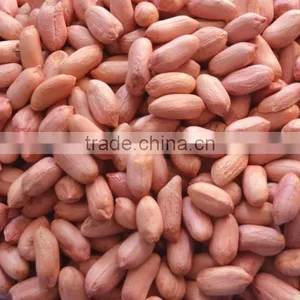 Groundnut Kernels/peanuts Kernels thumbnail-2