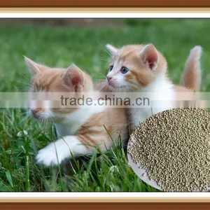 Eco-Friendly and Safe Pet Cleaning & Grooming Type Bentonite Cat Litter From Factory Price thumbnail-5
