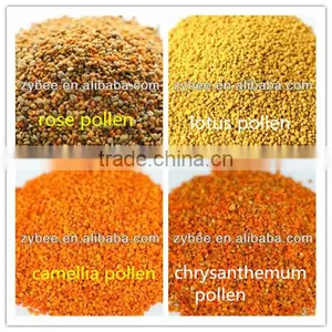 Bee Pollen Wholesale Organic Certified Beepollen thumbnail-1