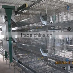 China Sell Automatic Quail Cage for Africa Market thumbnail-5