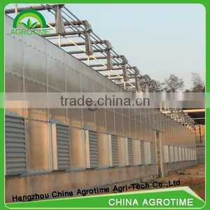 Venlo Greenhouse PC Sheet Glass Covering Hot Sale Greenhouse/glass Greenhouse thumbnail-1