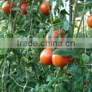 Plant Support Net for Garden thumbnail-6