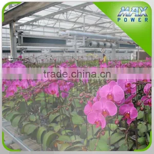 Smart Irrigation System Tape for Flower Garden thumbnail-5