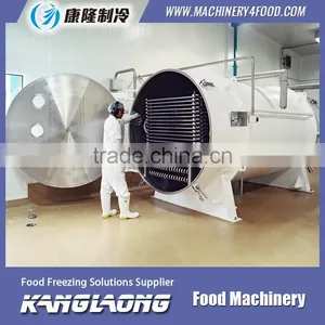 500Kg/H Freeze Dry Machine Price thumbnail-2