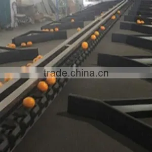 Lemon Fruit Sorting Washing Machine thumbnail-5