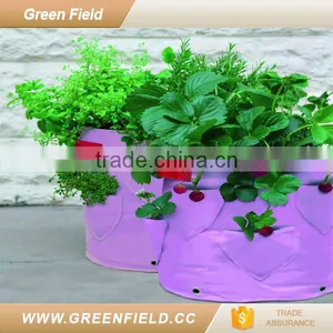 Wholesale Hydroponics Strawberry Planter Used Nursery Pots thumbnail-1