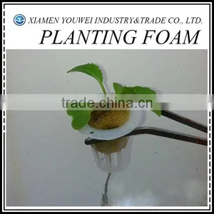 Soilless Farming Modern Vertical Faming Water Soilless thumbnail-1