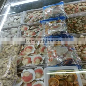 Best Seafood and Frozen Scallop Meat thumbnail-1