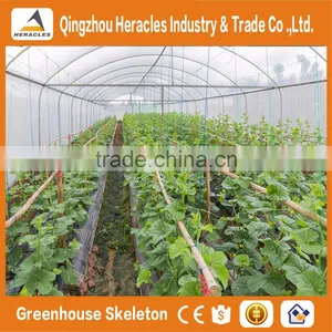 Heracles Trade Assurance Vegetable Seeds Greenhouse thumbnail-3