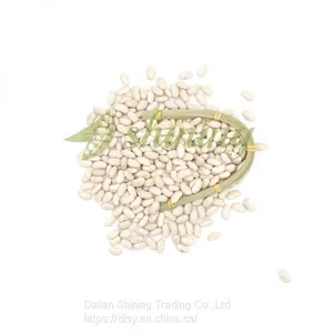 Spanish White Kidney Beans thumbnail-2