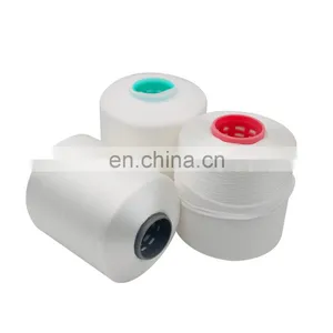 Hot Selling China Factory High Tenacity Raw White Dyeing Tube 210d3 Polyester Thread thumbnail-1