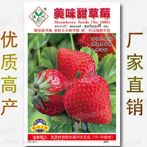 200pcs Organic Sweet Giant Strawberry Seeds Strawberry Seeds for Planting thumbnail-2