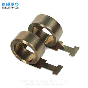 Stainless Steel Constant Force Spring for Boosters Fittings thumbnail-3