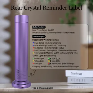 Best Reviewed Multi Function Air Purifier LED Wireless Charging Scent Pet Friendly Waterless Essential Oil Aroma Diffuser thumbnail-4