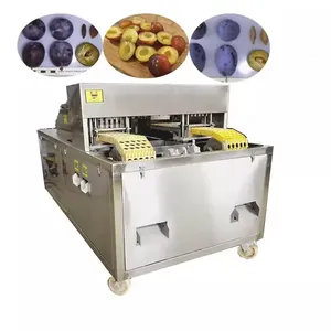 Shanghai Cherry Pitting Machine Plums Pitting Machine Fruit Seed Removing Machine thumbnail-5