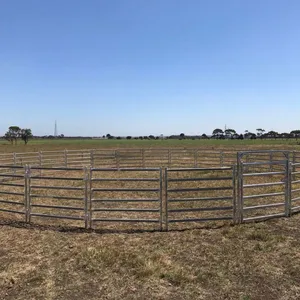 Hot Dipped Galvanized Cattle Panel Heavy Duty Livestock Corral Panel thumbnail-3