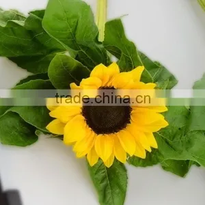 Good Quality New Products Blue Fresh Cut Sunflowers thumbnail-4