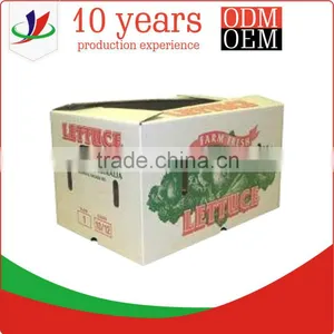 Corrugated Cardboard Cartons for Fresh Vegetables and Fruits thumbnail-4