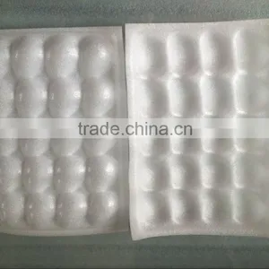 Disposable Plastic Fruit Strawberry Packaging Tray thumbnail-2
