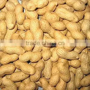 Chinese Roasted Peanut in Shell thumbnail-1