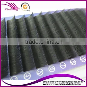 Top Quality Wholesale Price Eyelash Extension thumbnail-5