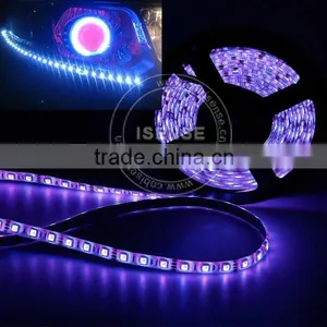 Home/auto Use High Voltage Rope Light LED thumbnail-1