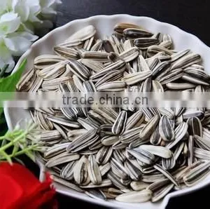 Melon Seeds Microwave Oven Sterilization Machine thumbnail-4