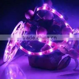 Flexible Waterproof Pink 5050 Led Strip thumbnail-1