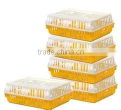 Poultry Cage, Poultry Cage Manufacturer thumbnail-6