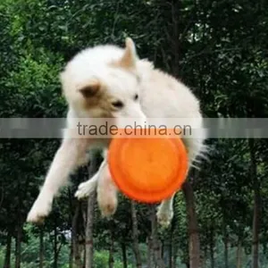 Loge Print Available Silicone Pet Plate Frisbee thumbnail-2