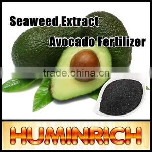 Huminrich Shenyang Soluble Agriculture Seaweed Extract Promote Avocado Growth Fertilizer thumbnail-1