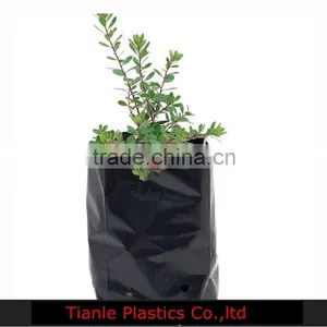 Green House Usage Low Density Polytheylene Type Planting Bags for Plants Nurseying thumbnail-1