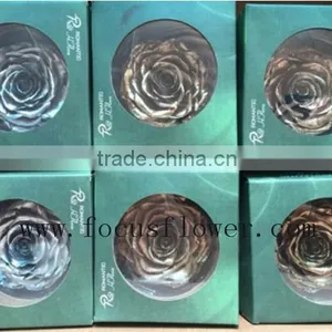 Real Touch Wholesale Preserved Flower Preserved Rose From China thumbnail-6