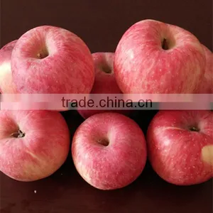 Red Fuji Apple Fresh Fuji Apple thumbnail-5
