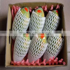 Machine Manufacture Epe Foam Fruit Net Machine Foam Net Machine thumbnail-6