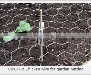 Hexagonal Mesh (anping Manufacturer), Twisted Mesh thumbnail-5