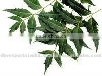 Pure Neem Oil via SCFE Co2 thumbnail-1