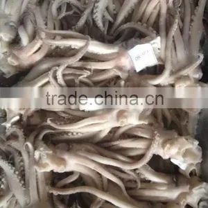 2016 Newly Arrived Frozen Eye Off, Beak off Squid Tentacle From China thumbnail-2
