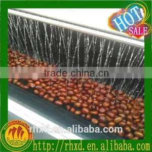 2015 Health Food Almonds/peeled Chestnuts for Sale/roasted Chestnuts thumbnail-5