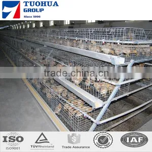 Chicken Poultry Layer Cage for Sale,layer Poultry Cages thumbnail-5