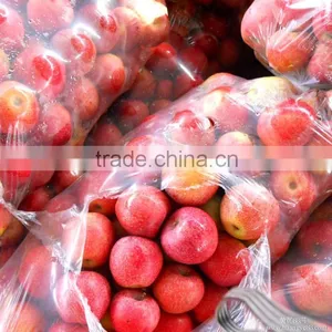 New Arrival Chinese Fresh Red Apple Red Qinguan Apple With Best Price thumbnail-6