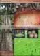 MAMMEA AFRICANA thumbnail-1